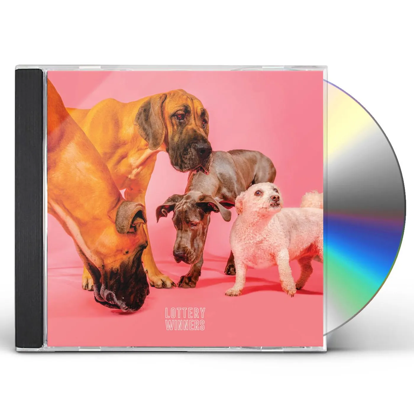 The Lottery Winners CD