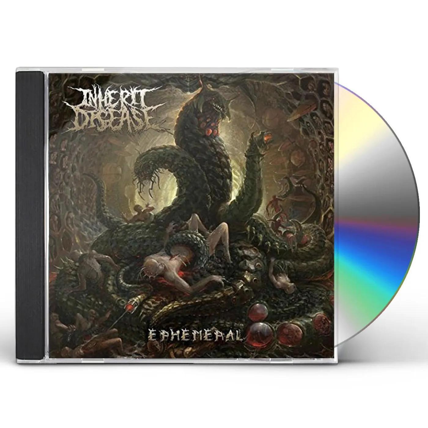 Inherit Disease EPHEMERAL CD