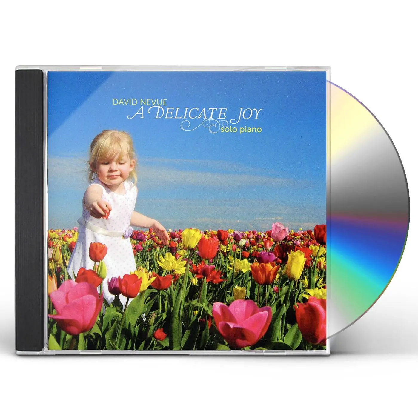 David Nevue DELICATE JOY CD