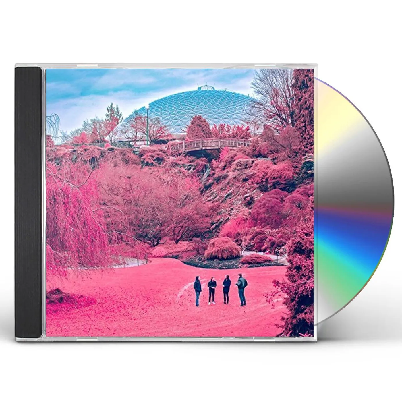 The Zolas SWOONER CD