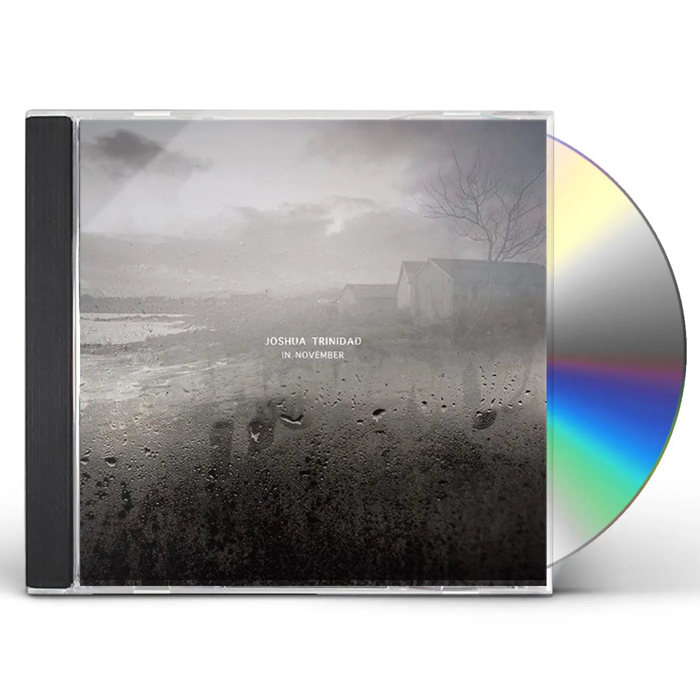 Joshua Trinidad IN NOVEMBER CD