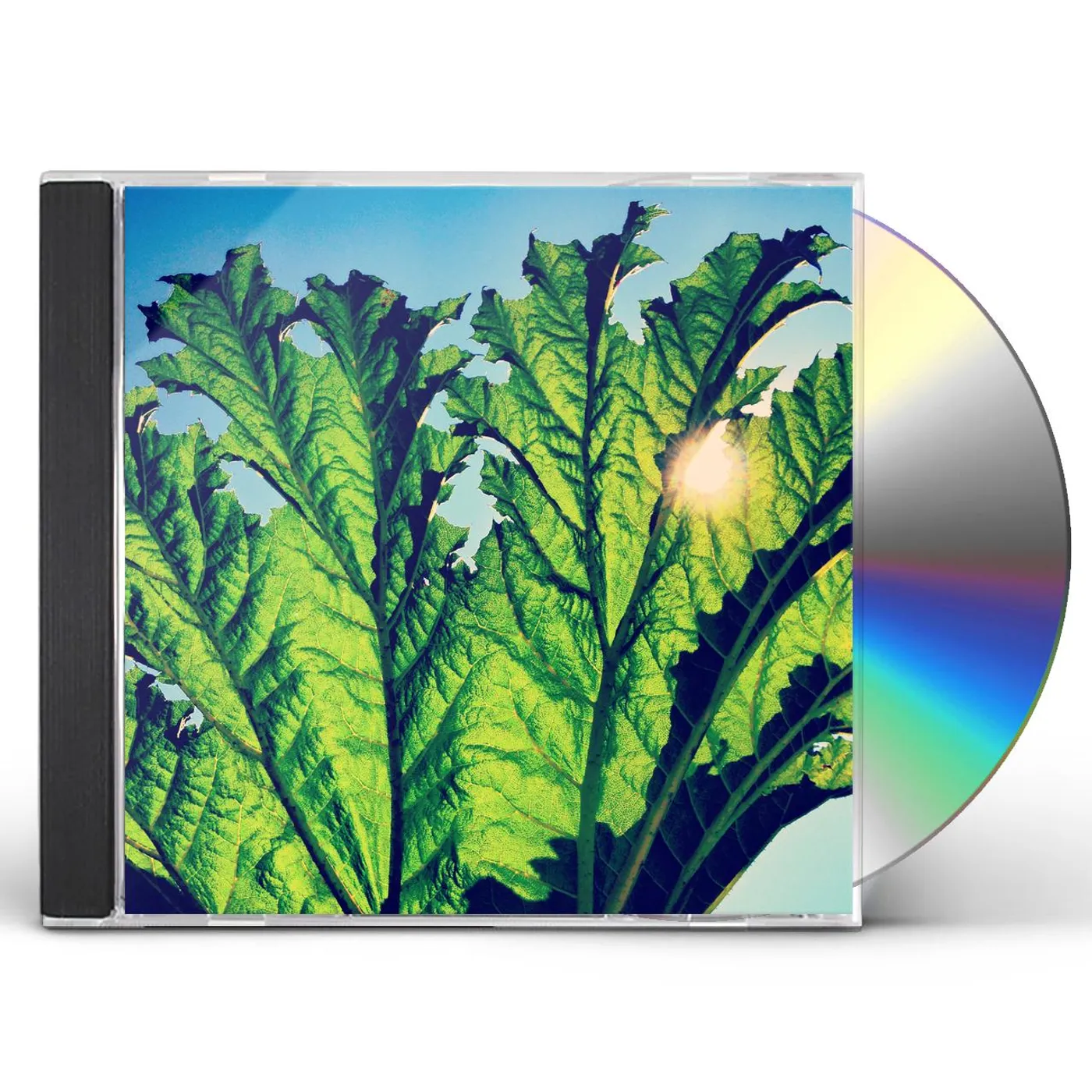 Pfarmers GUNNERA CD