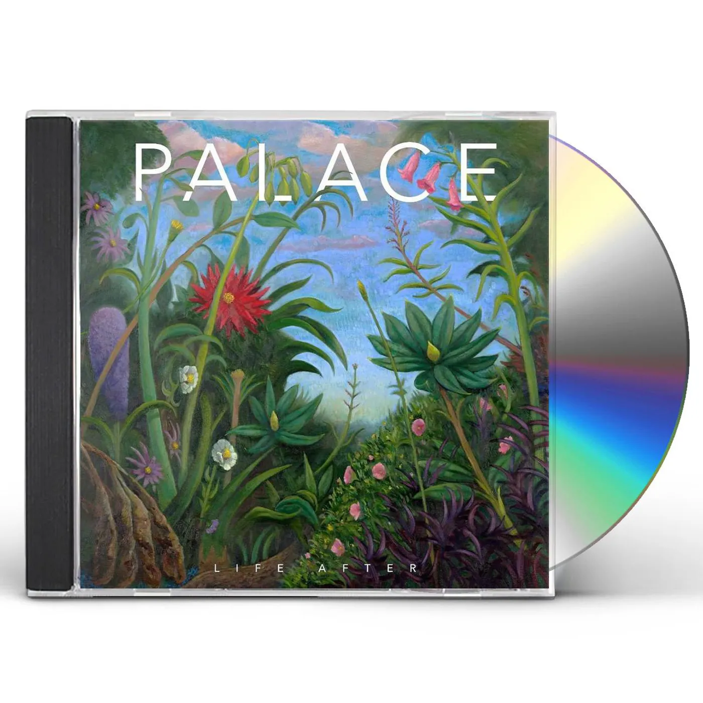 Palace LIFE AFTER CD