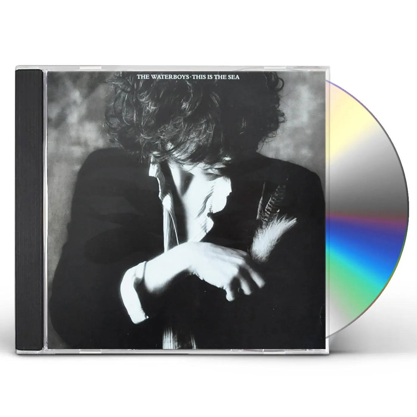 The Waterboys THIS IS THE SEA CD