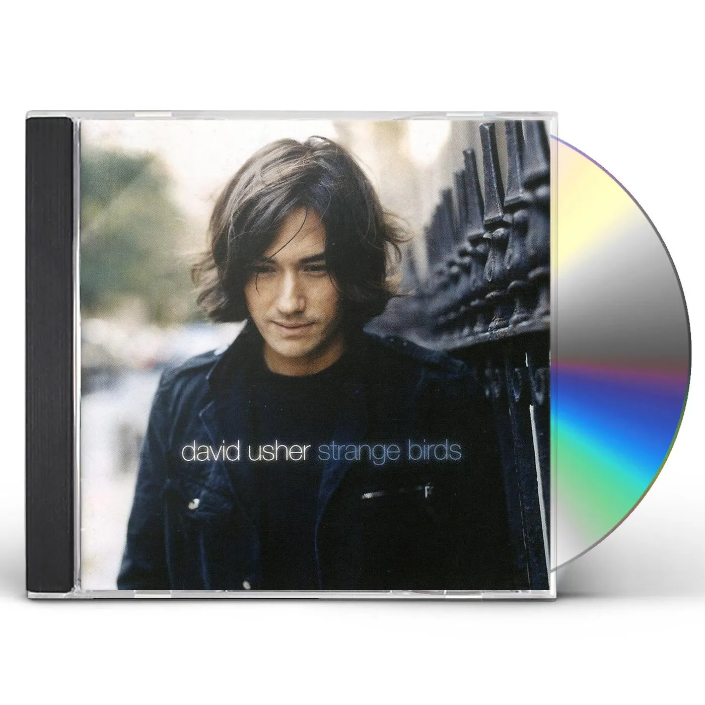David Usher STRANGE BIRDS CD