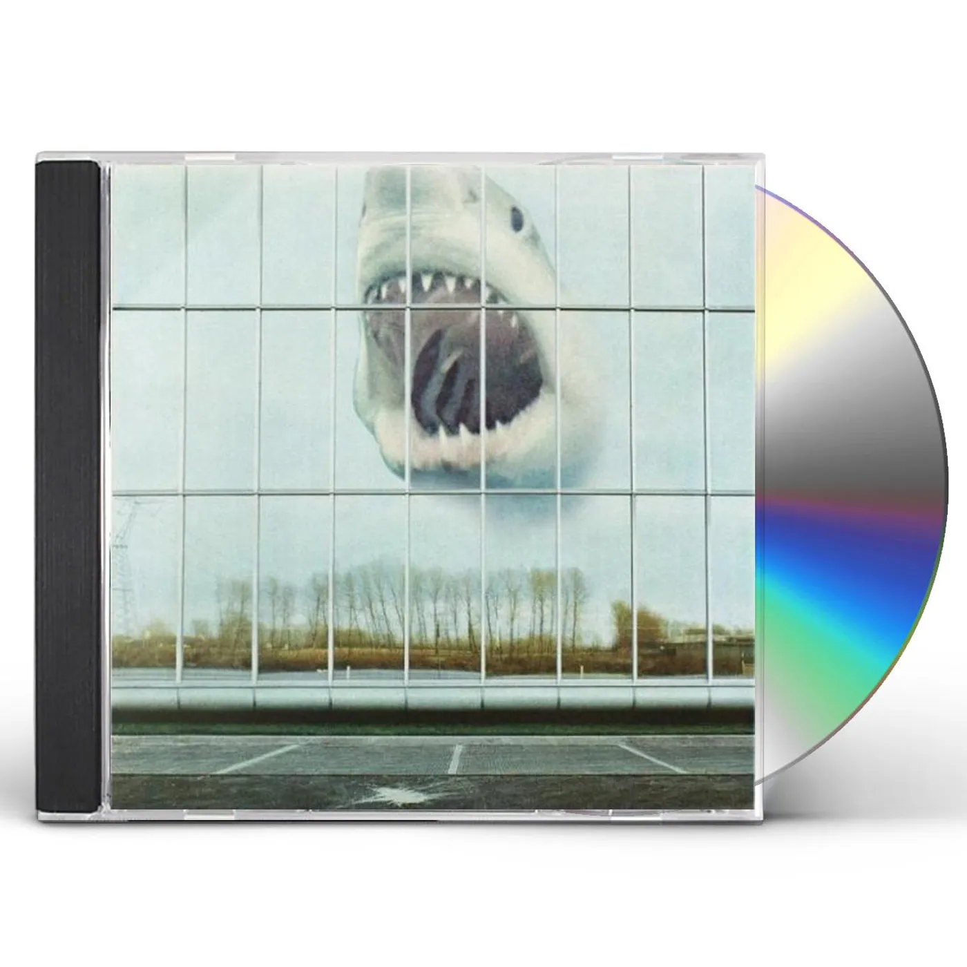 Black Mountain WILDERNESS HEART CD