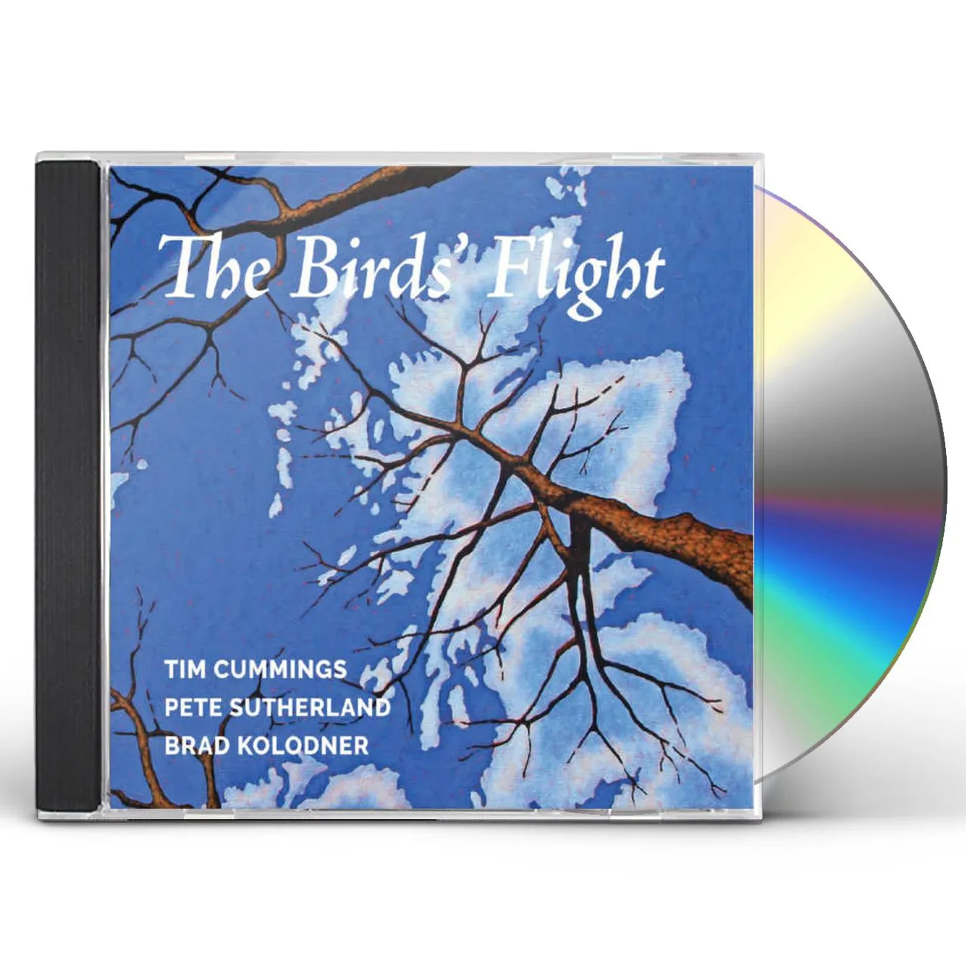 Timothy Cummings BIRDS' FLIGHT CD