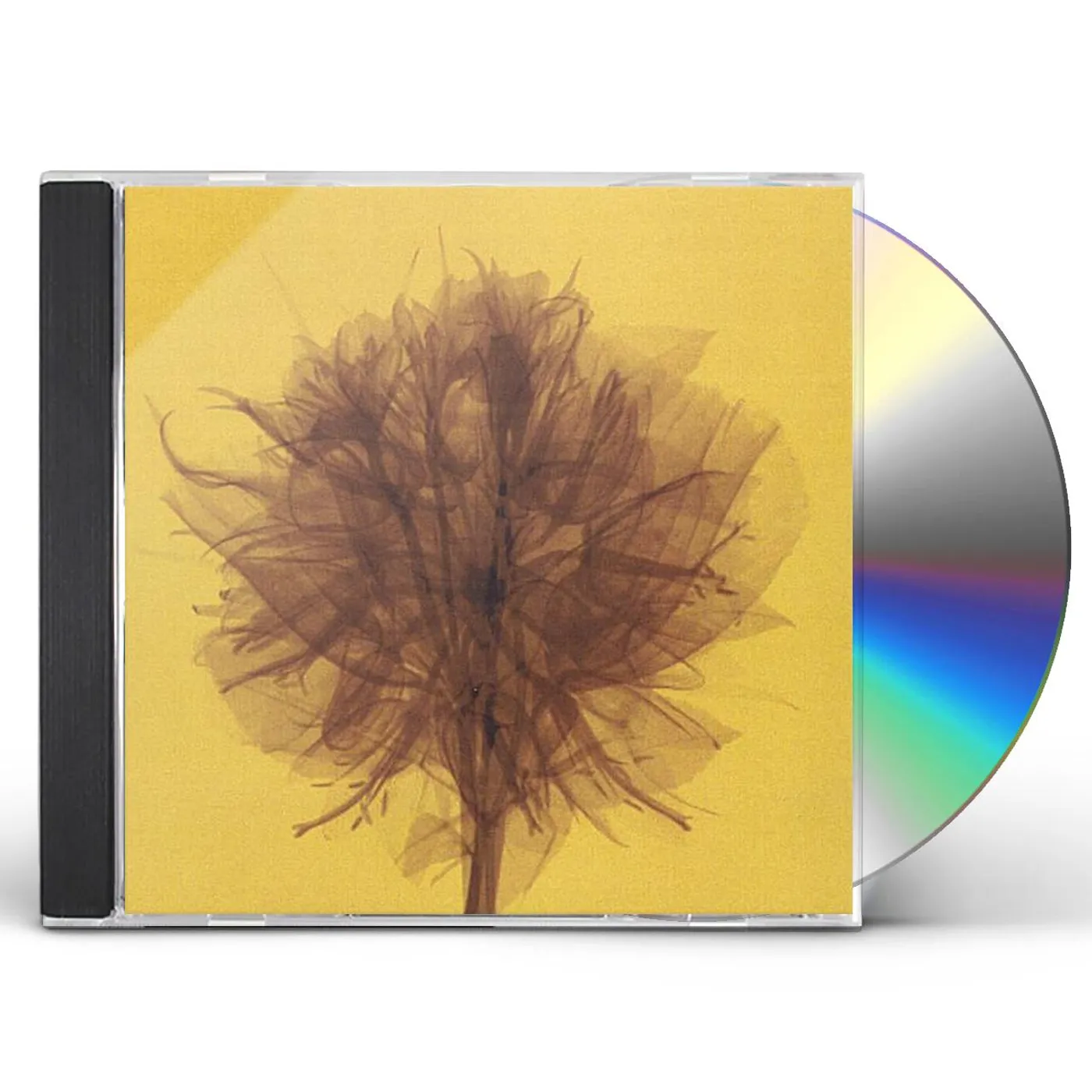 Aim SPIRITS OF YOUR TIDE CD