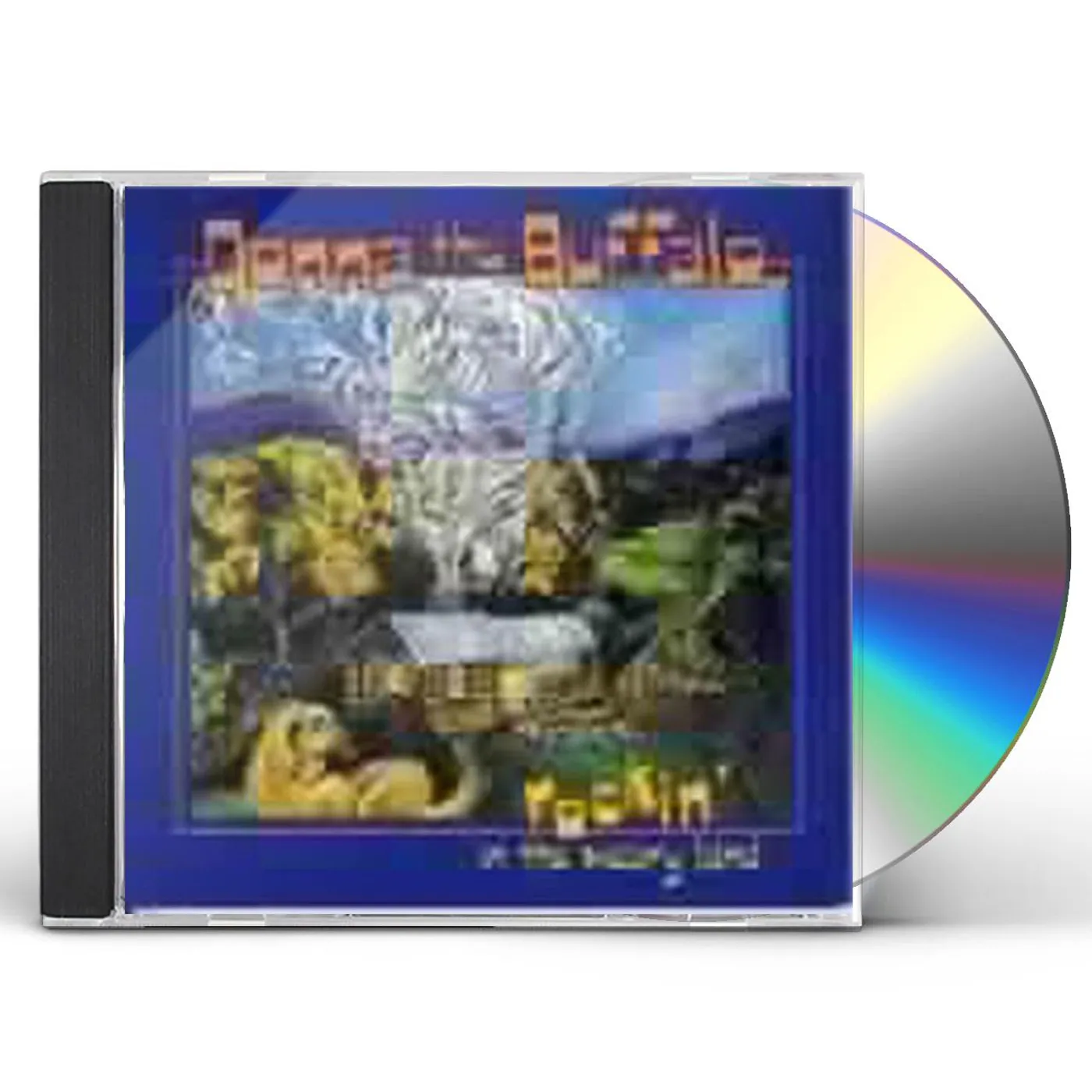 Donna The Buffalo ROCKIN IN WEARY LAND CD
