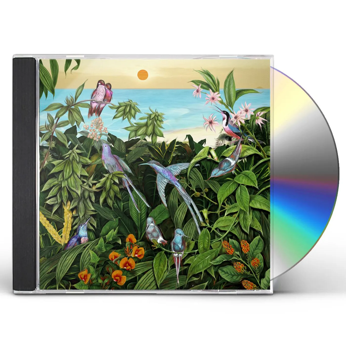 Mark Barrott SKETCHES FROM AN ISLAND 2 CD