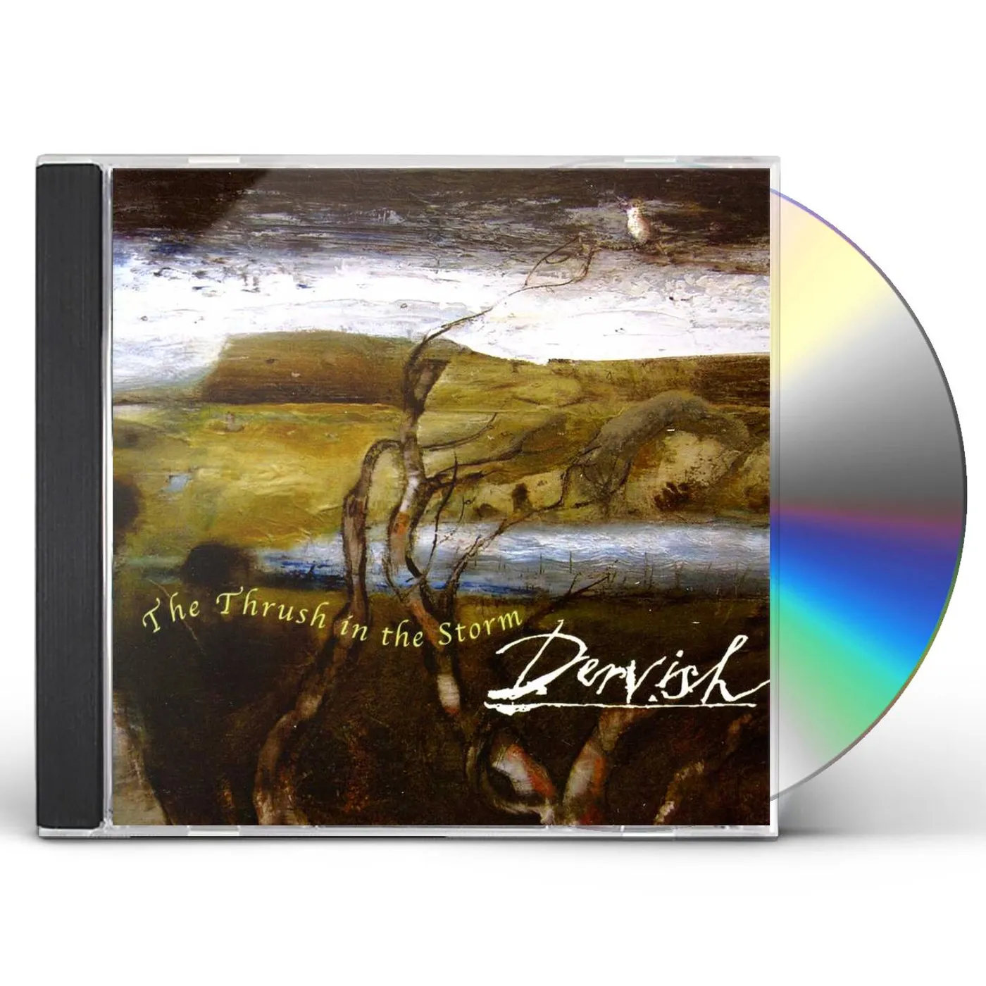 Dervish THRUSH IN THE STORM CD