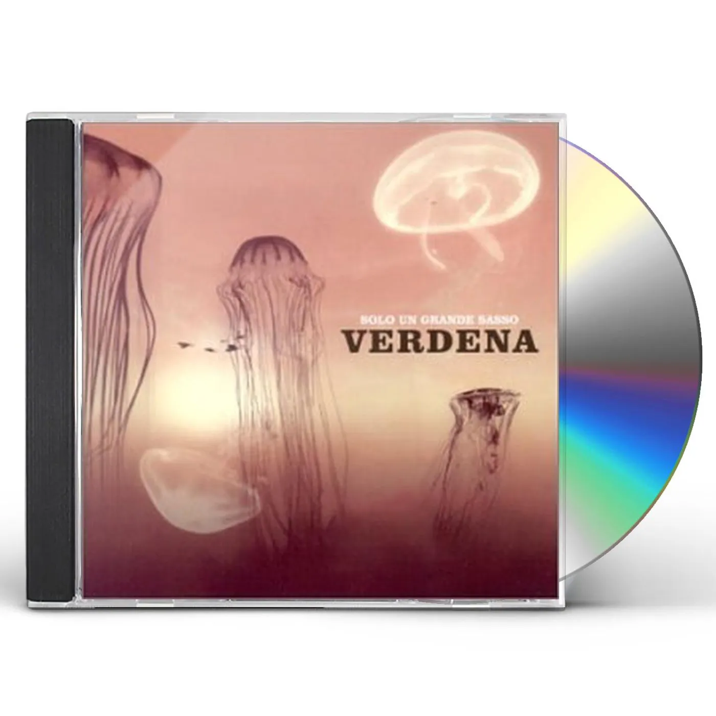 Verdena SOLO UN GRANDE SASSO CD