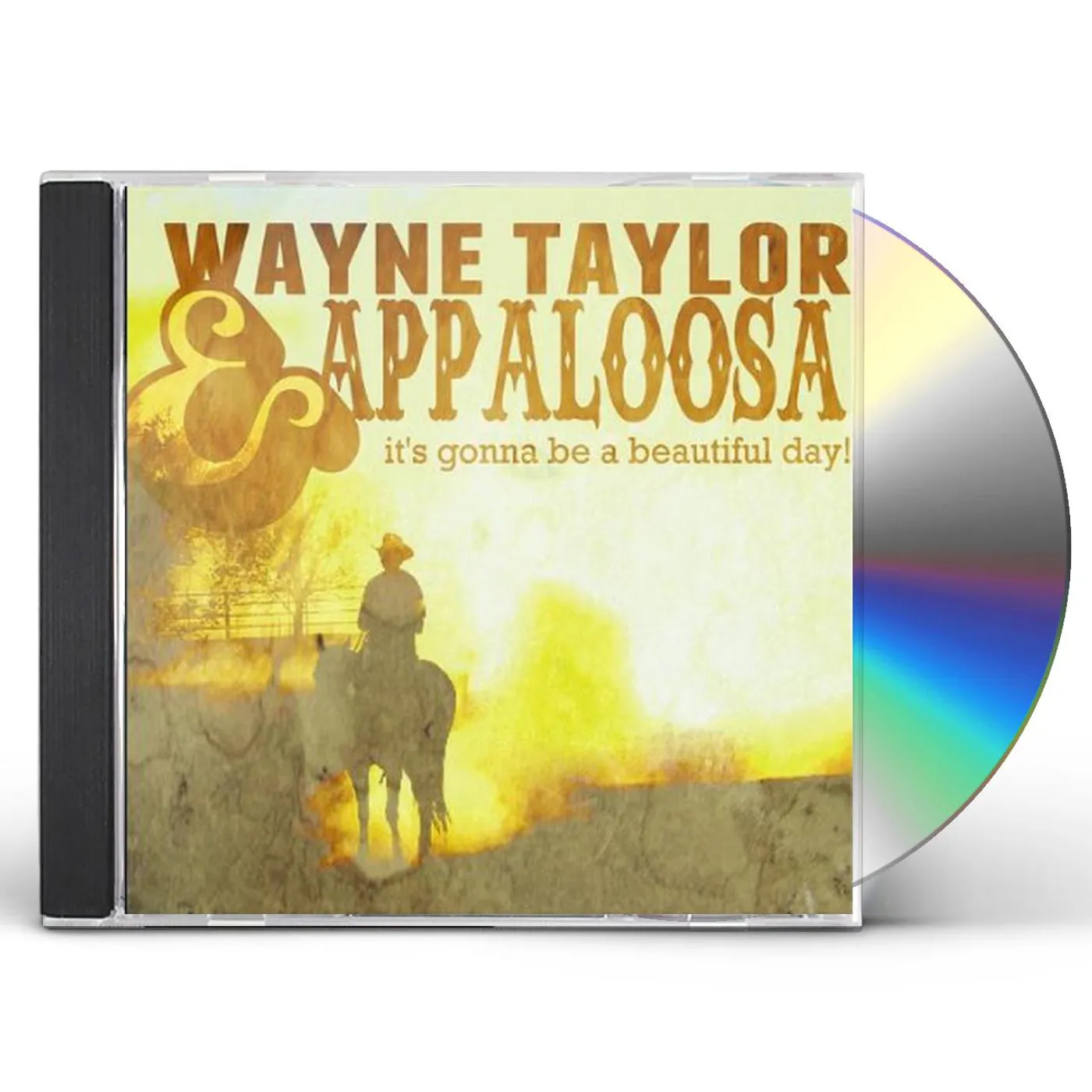 Wayne Taylor IT'S GONNA BE A BEAUTIFUL DAY CD