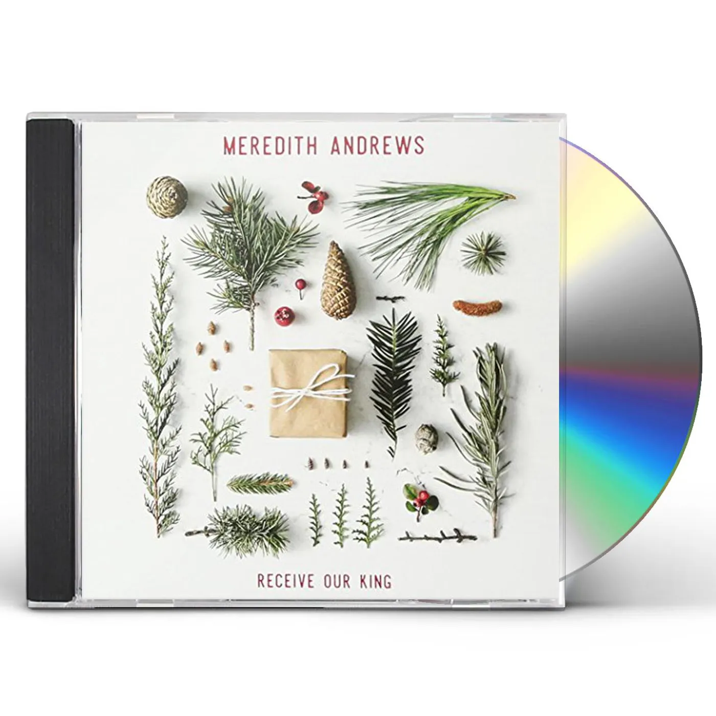 Meredith Andrews RECEIVE OUR KING CD