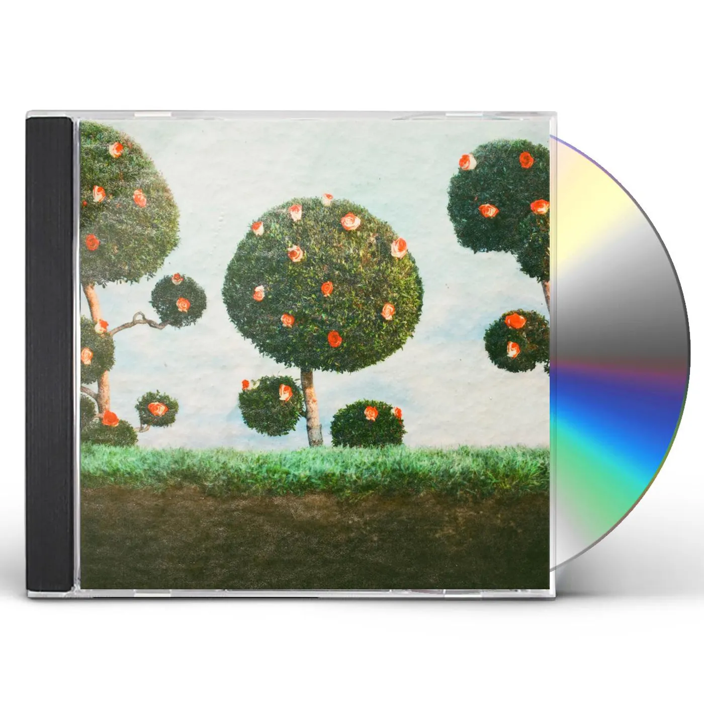 Midnight Sister PAINTING THE ROSES CD