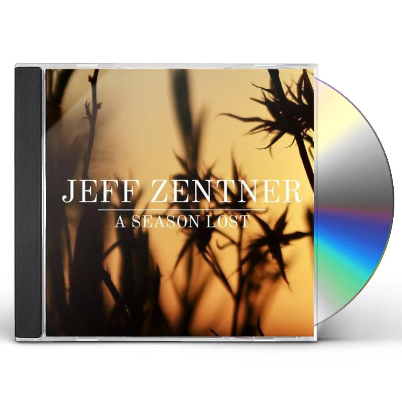 Jeff Zentner A SEASON LOST CD