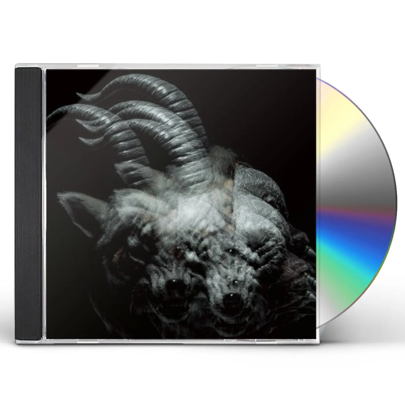the GazettE BEAUTIFUL DEFORMITY CD