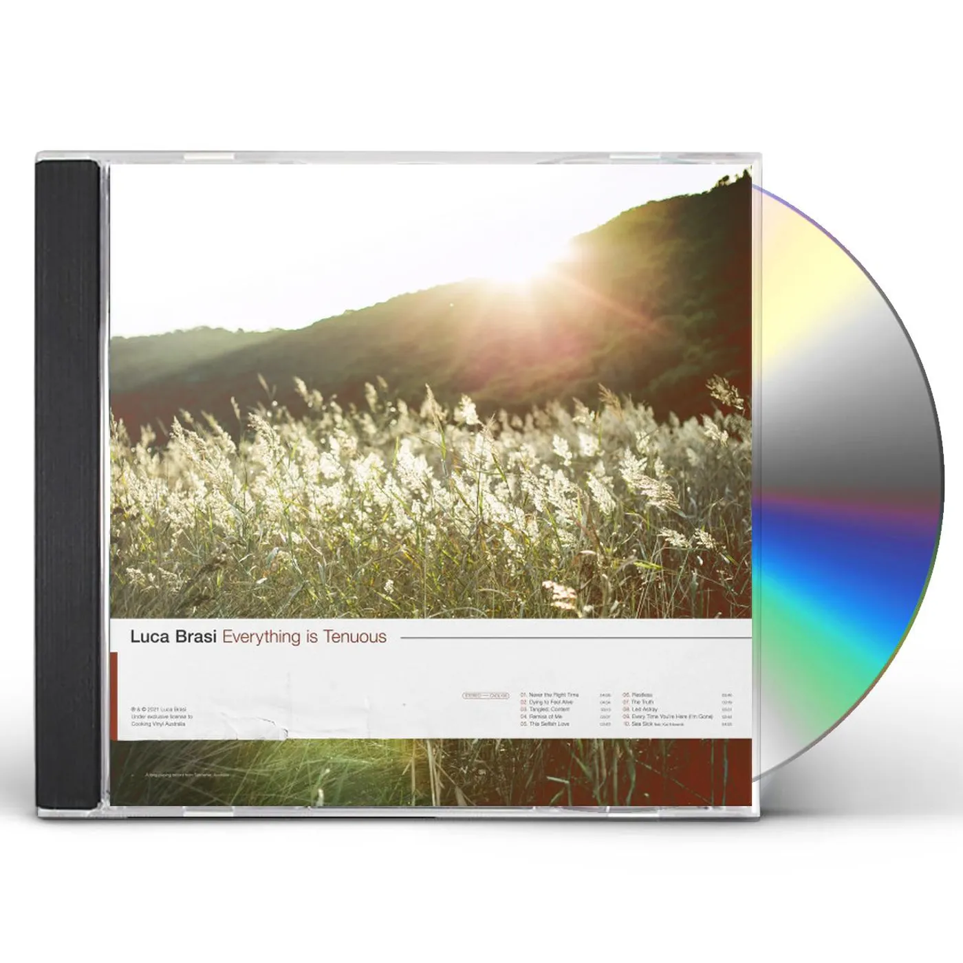 Luca Brasi EVERYTHING IS TENUOUS CD
