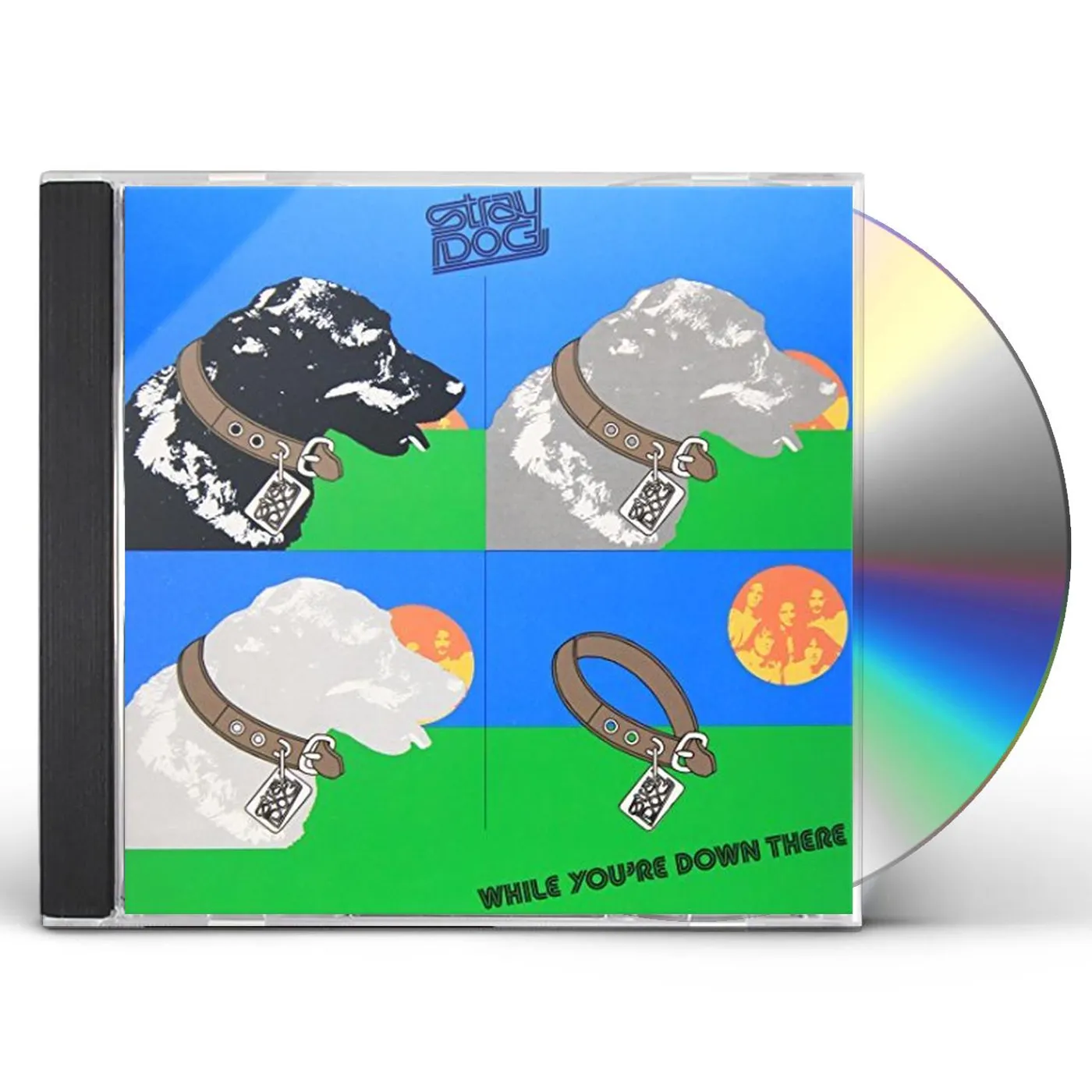Stray Dog WHILE YOU'RE DOWN THERE: LIMITED CD
