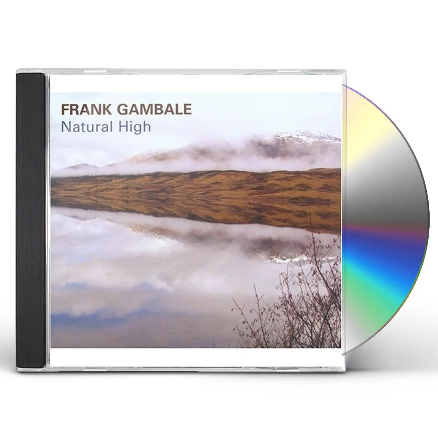 Frank Gambale NATURAL HIGH CD