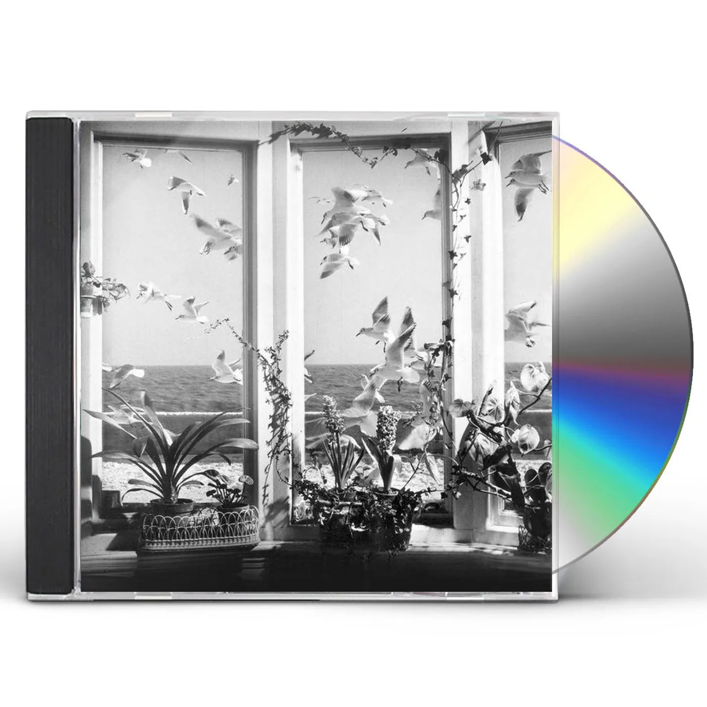 Andy Stott NEVER THE RIGHT TIME CD