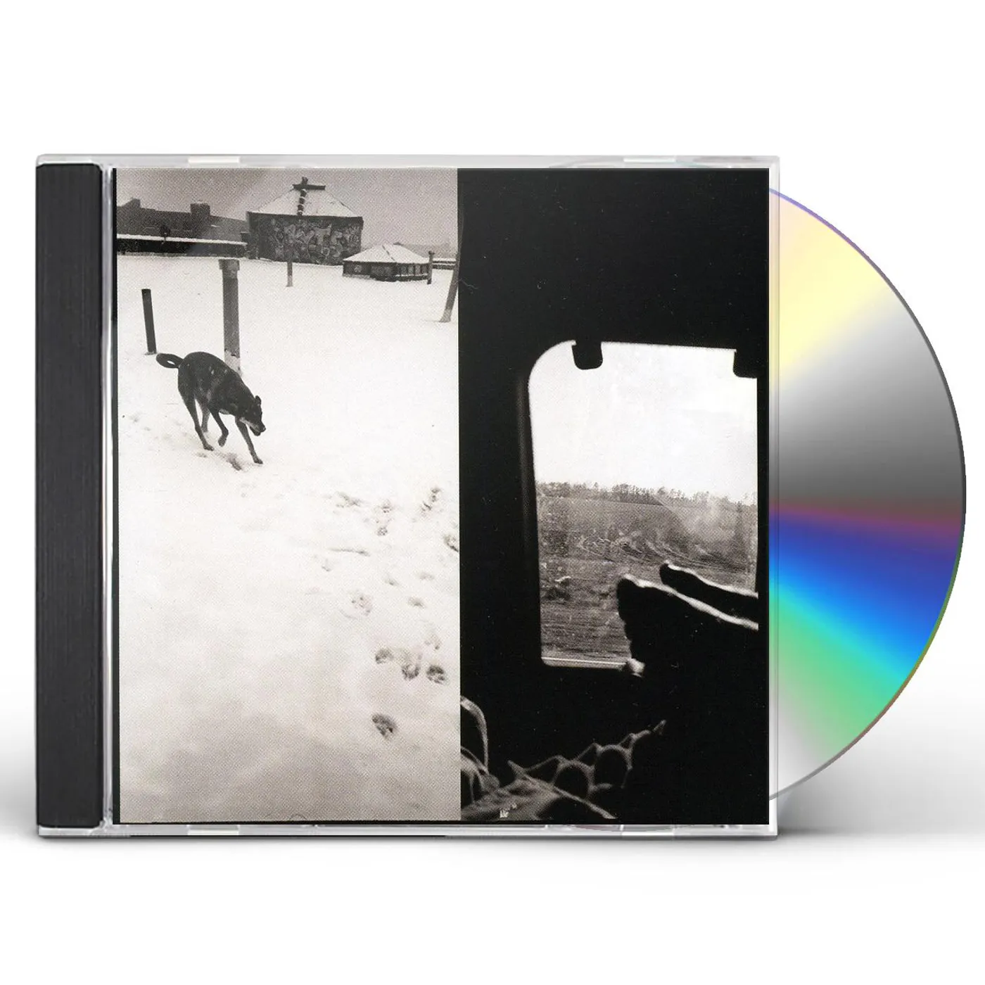 Braveyoung WE ARE LONELY ANIMALS CD