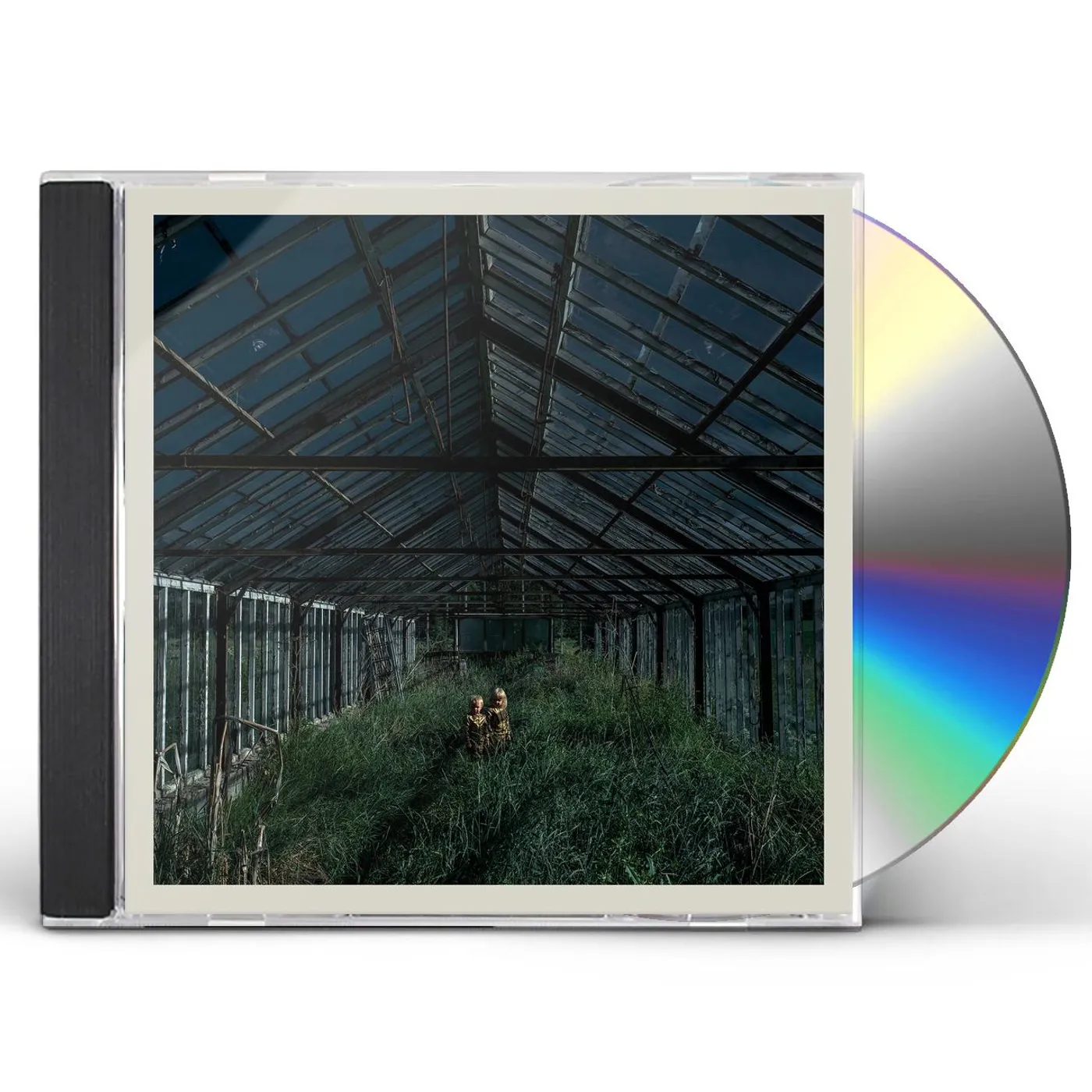 Foxing DEALER CD