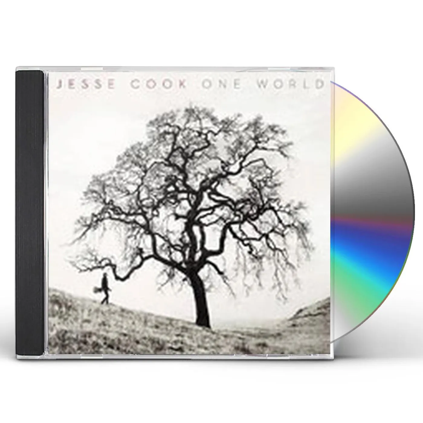 Jesse Cook ONE WORLD CD