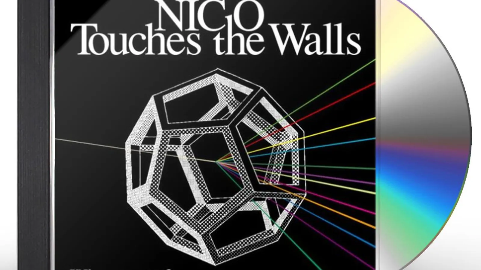 NICO Touches the Walls WHO ARE YOU CD