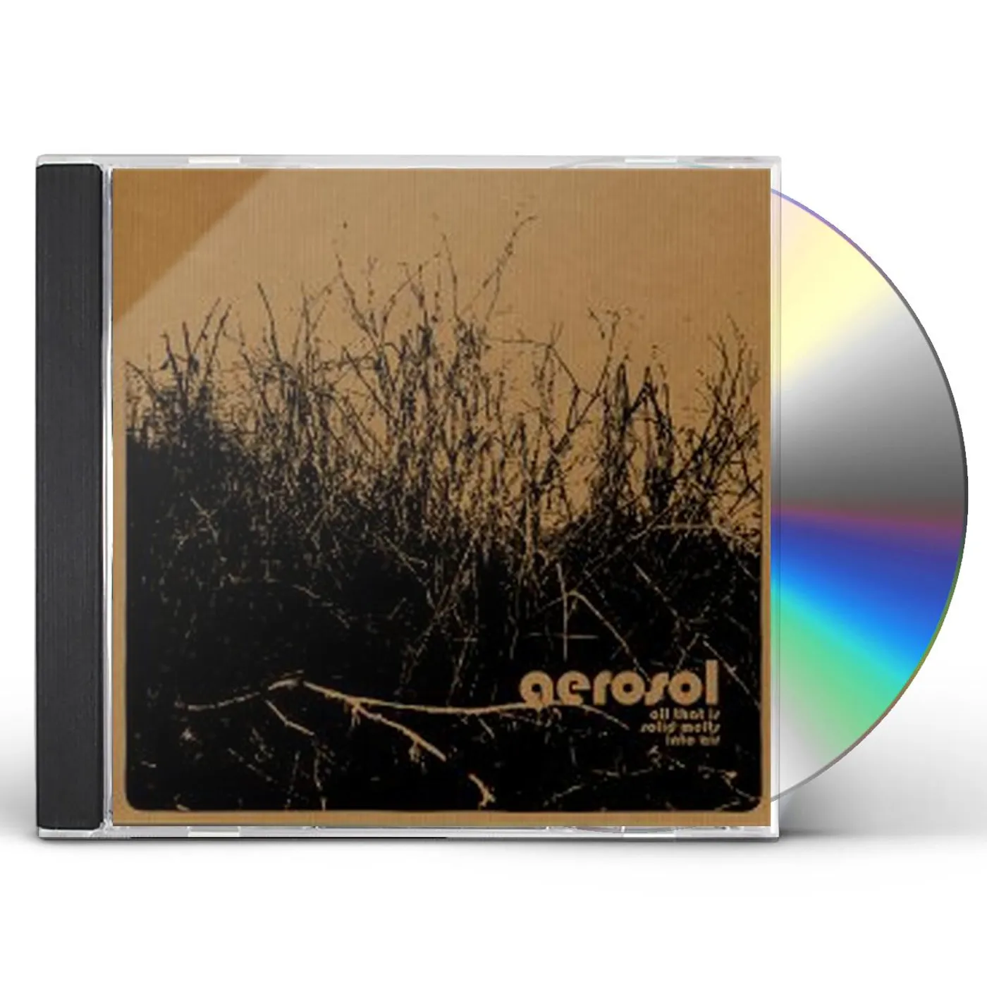 Aerosol ALL THAT IS SOLID MELTS INTO AIR CD