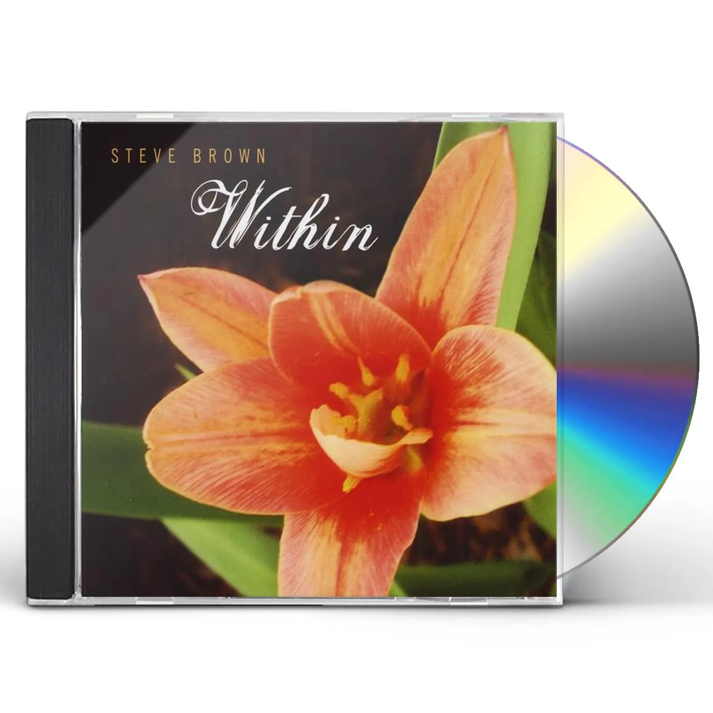 Steve Brown WITHIN CD