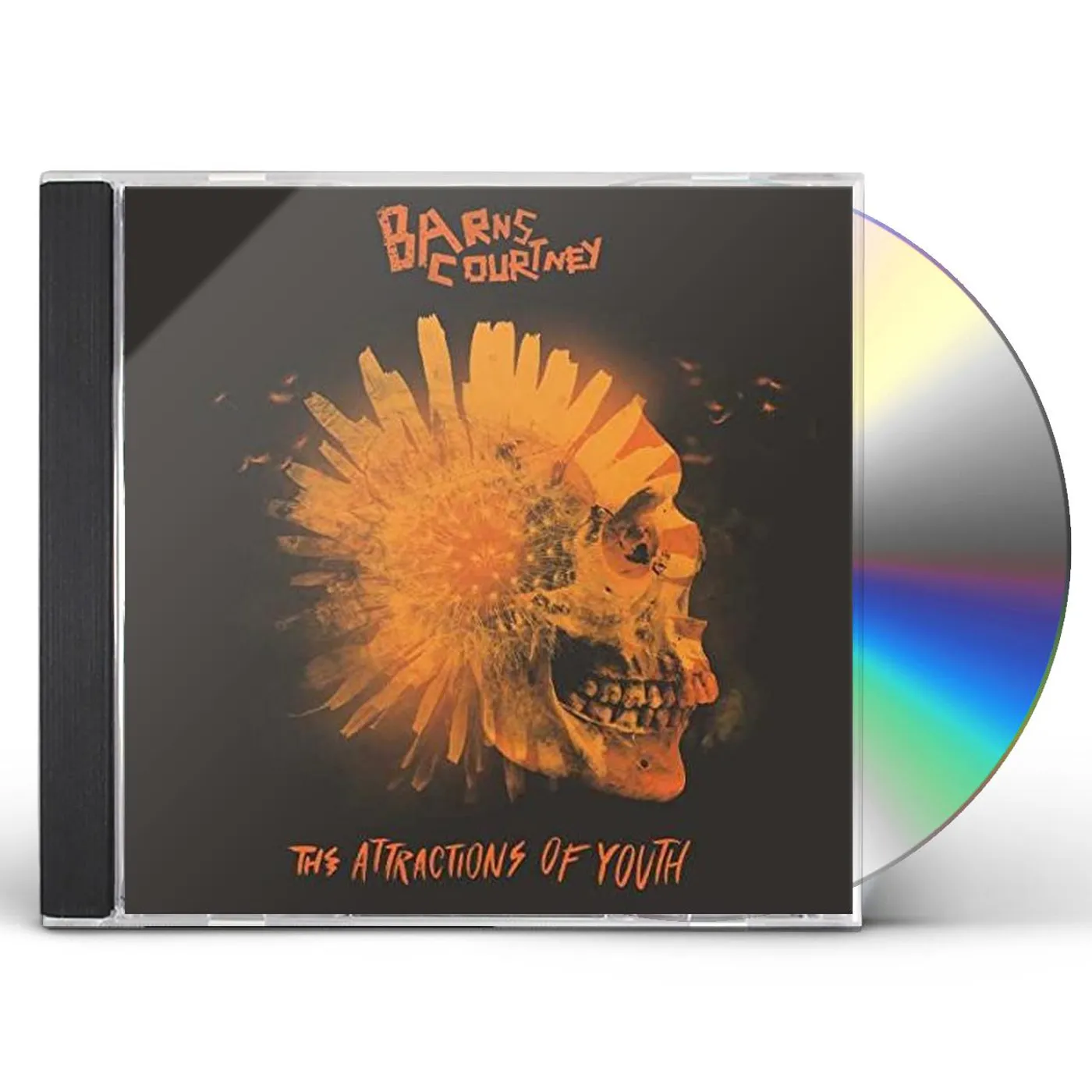 Barns Courtney ATTRACTIONS OF YOUTH CD