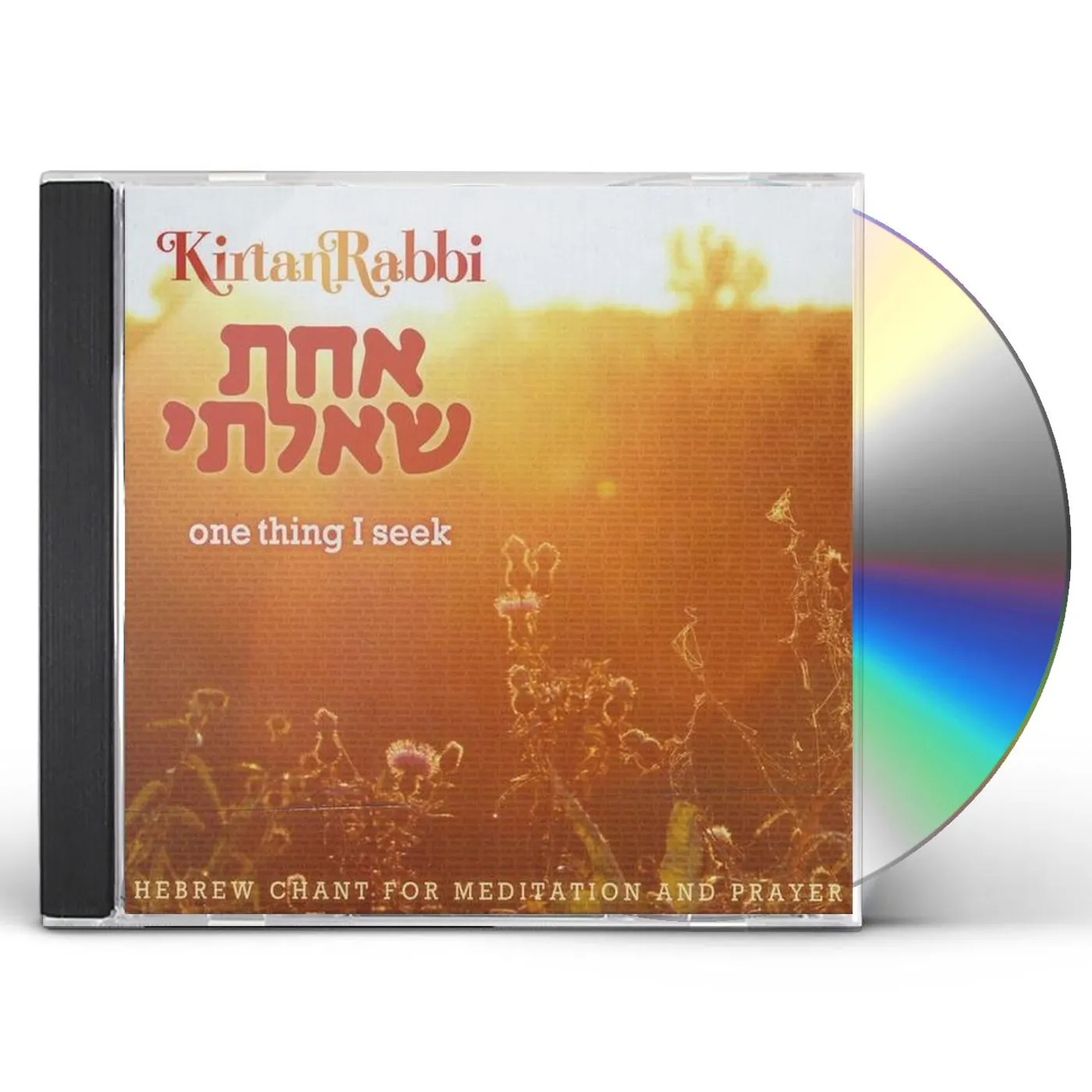 Kirtan Rabbi ONE THING I SEEK (ACHAT SHA'ALTI) CD