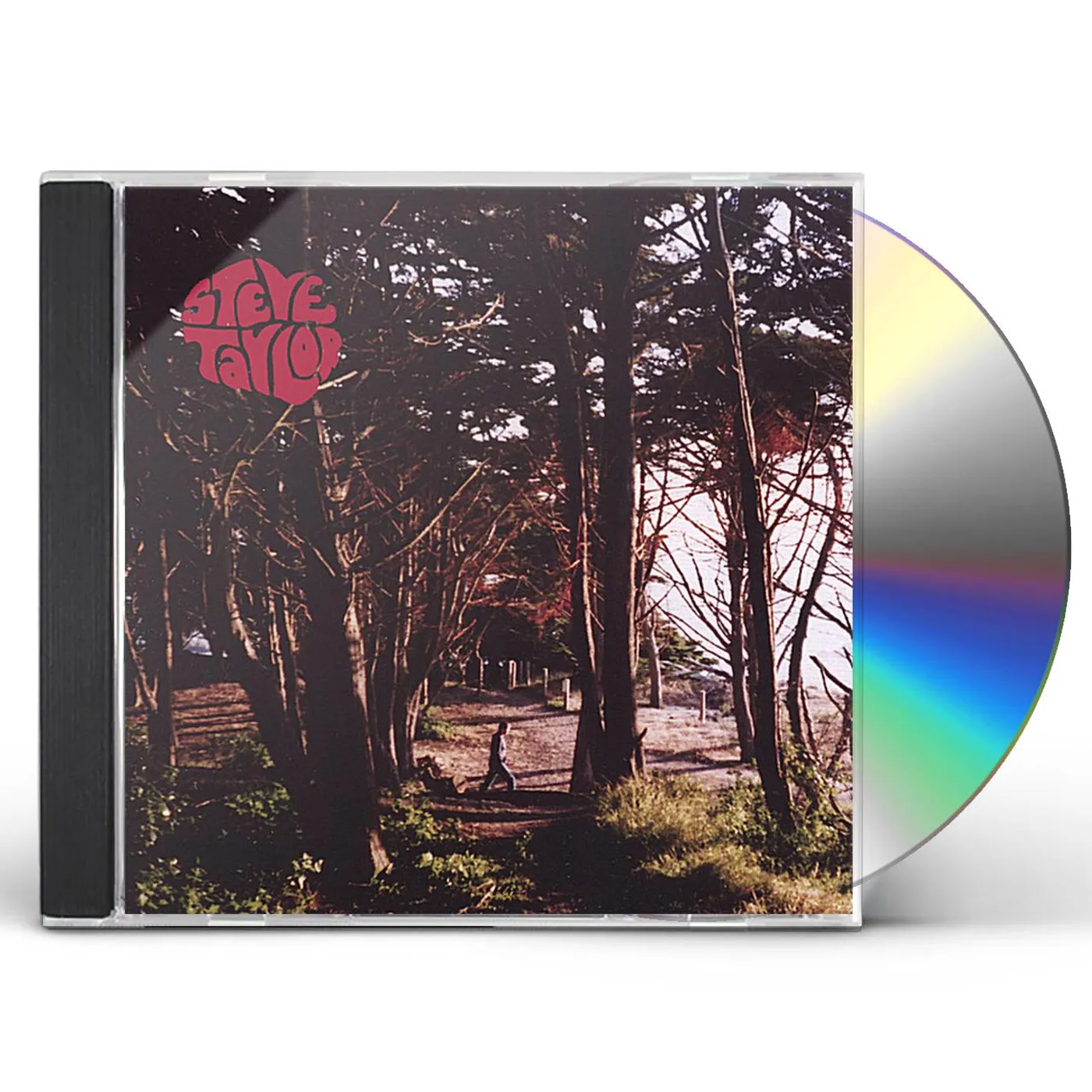 Steve Taylor HAS THE SIZE OF THE ROAD GOT THE BETTER OF YOU? CD