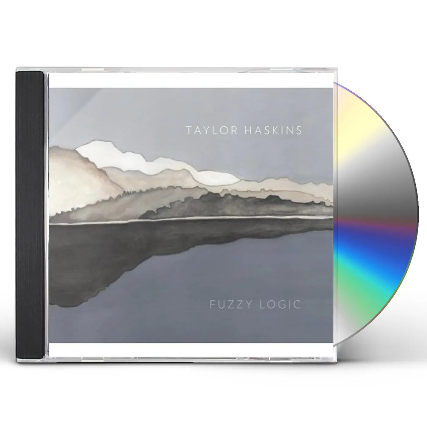 Taylor Haskins FUZZY LOGIC CD
