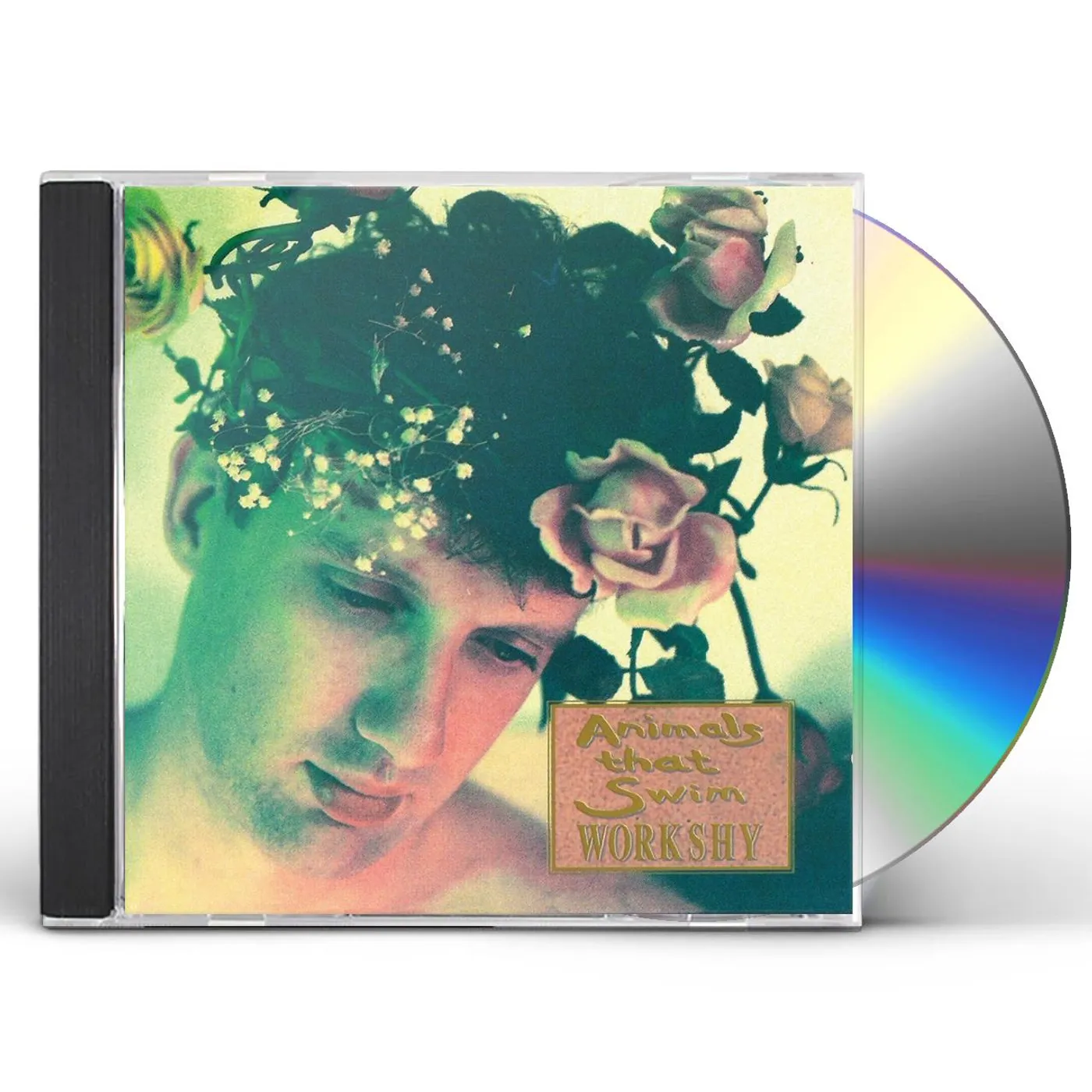 Animals That Swim WORKSHY CD