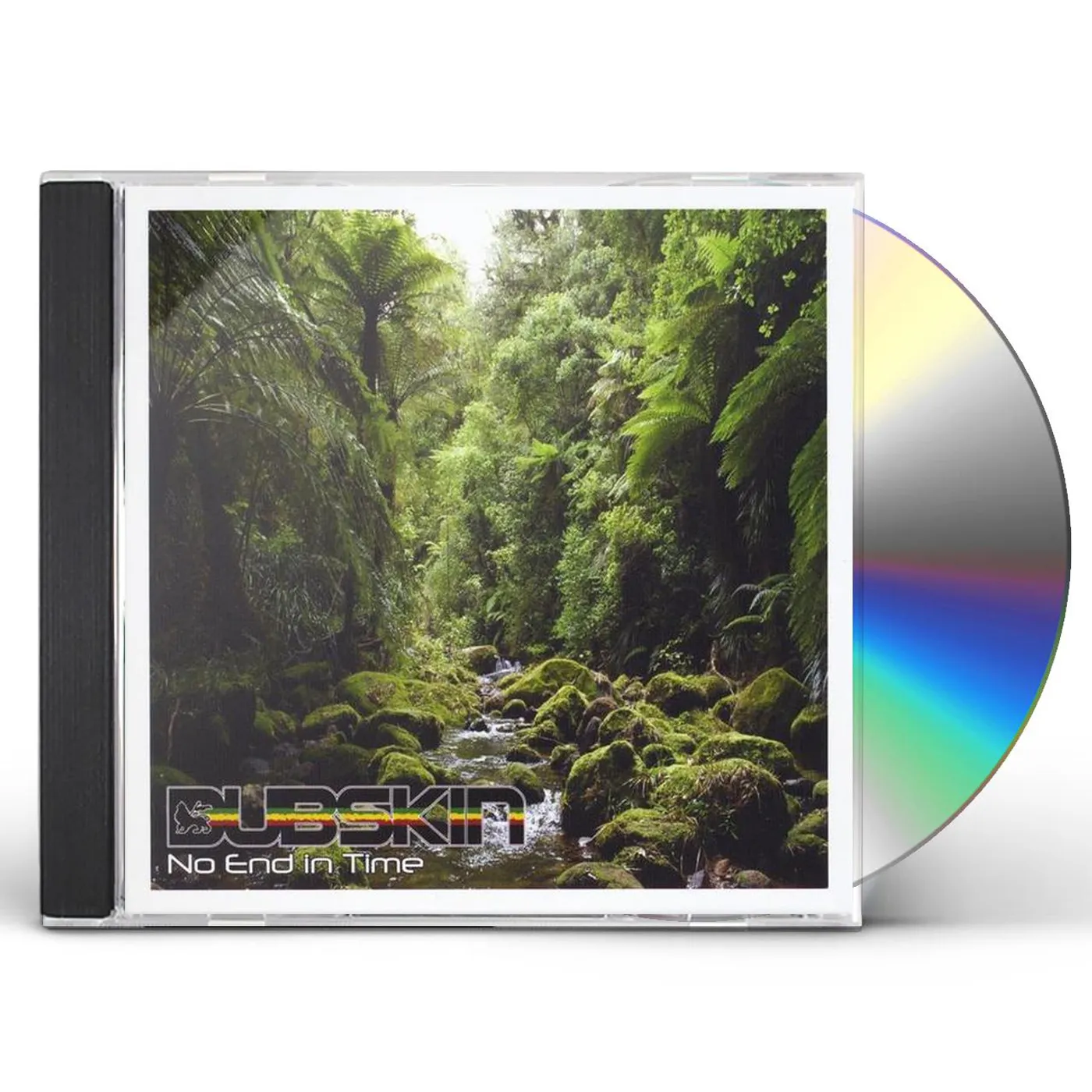 DubSkin NO END IN TIME CD