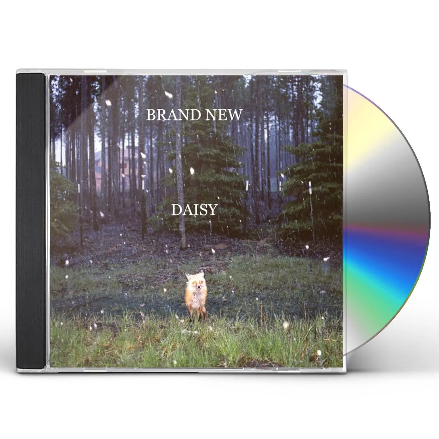 Brand New DAISY CD