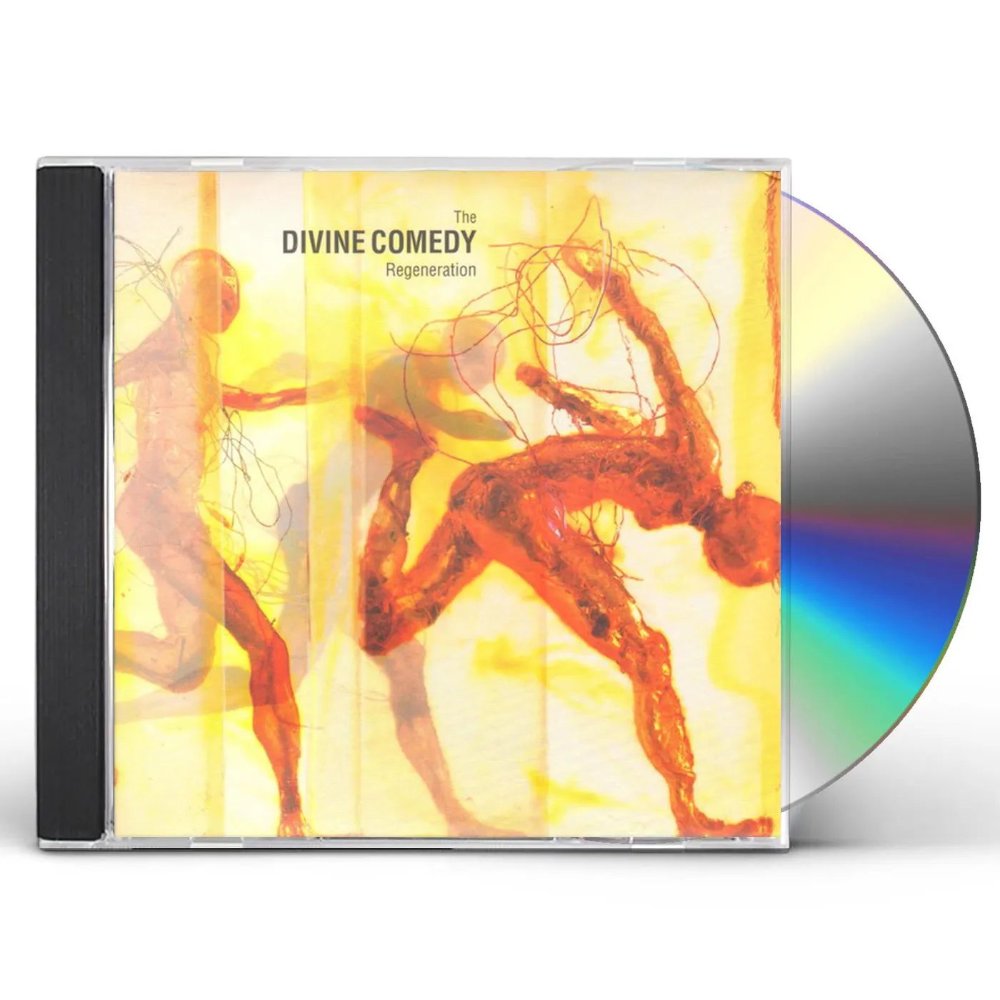 The Divine Comedy REGENERATION CD
