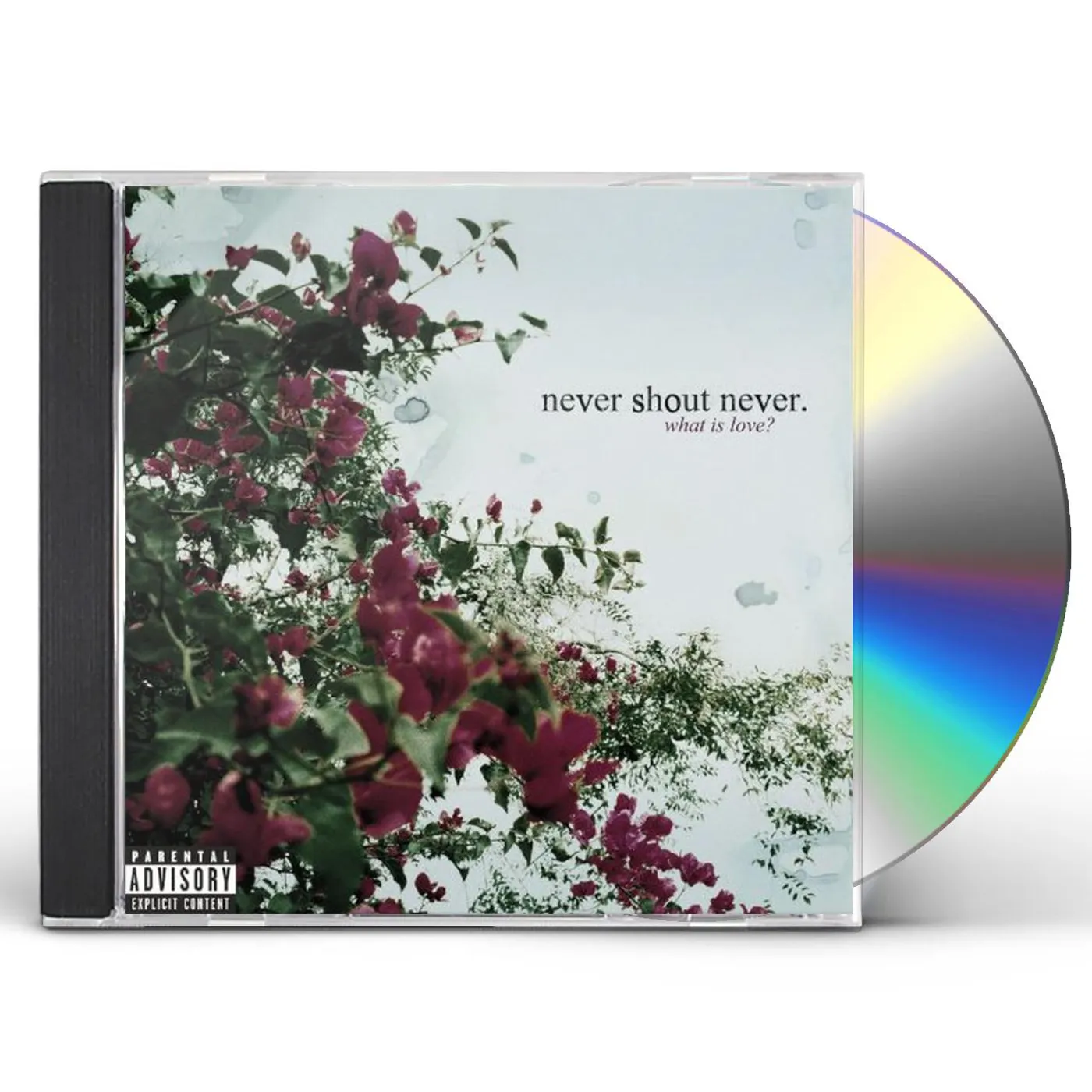 Never Shout Never WHAT IS LOVE CD