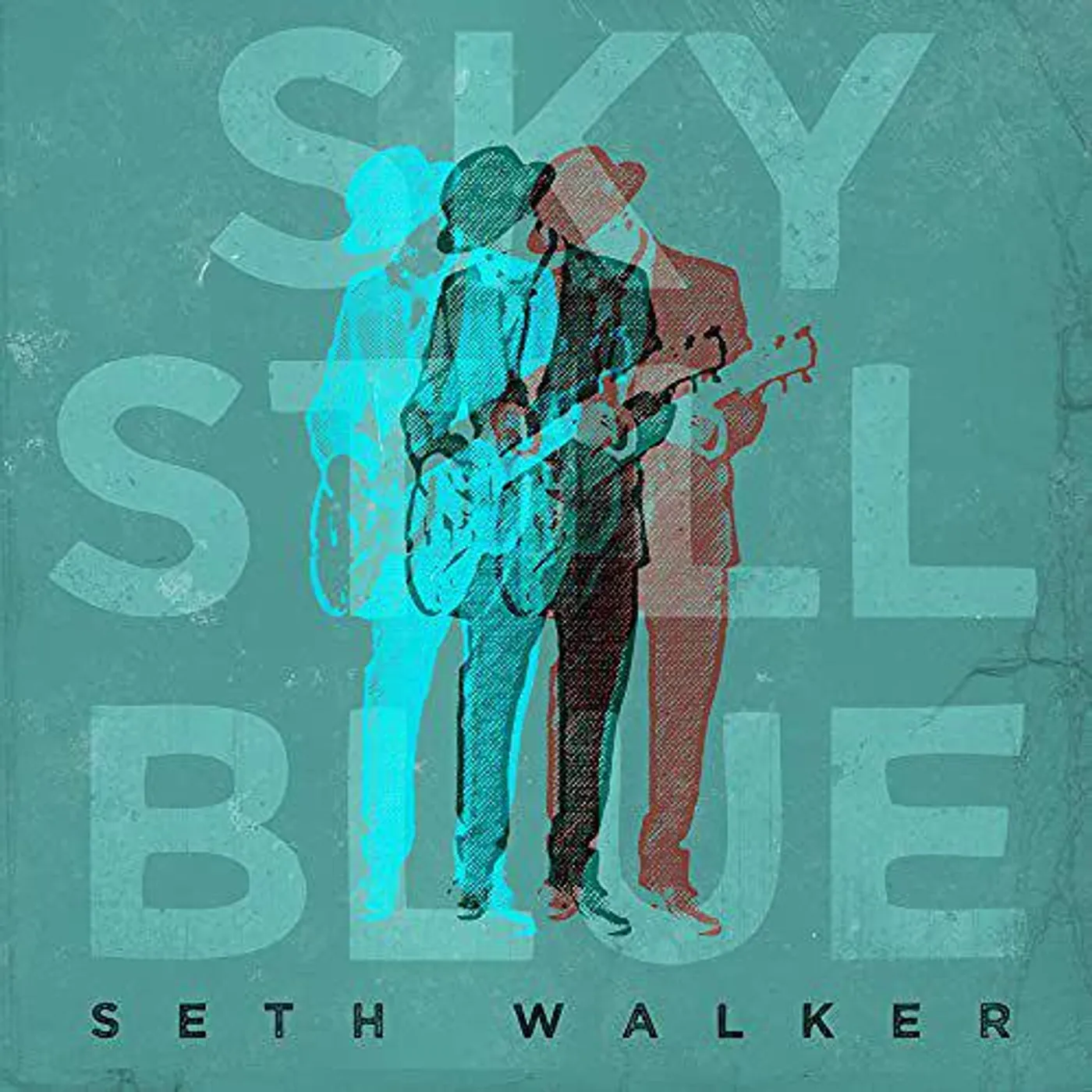 Seth Walker SKY STILL BLUE Vinyl Record