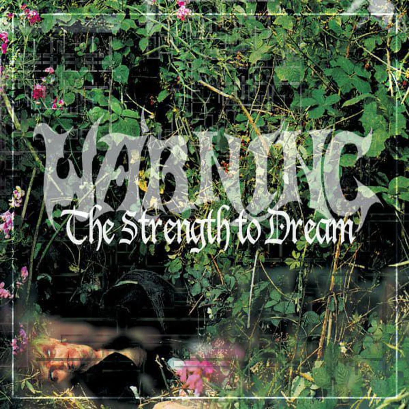 Warning STRENGTH TO DREAM Vinyl Record