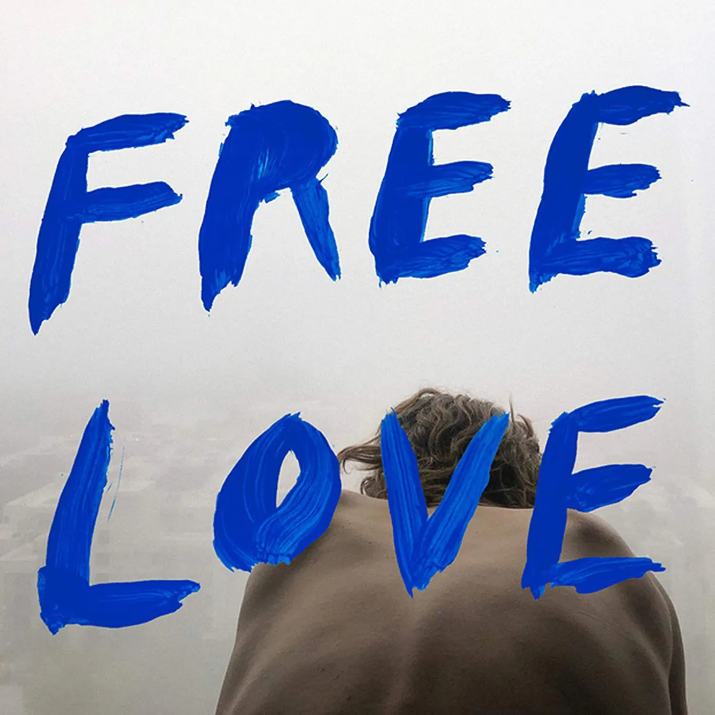 Sylvan Esso FREE LOVE (SKY BLUE VINYL) (I) Vinyl Record