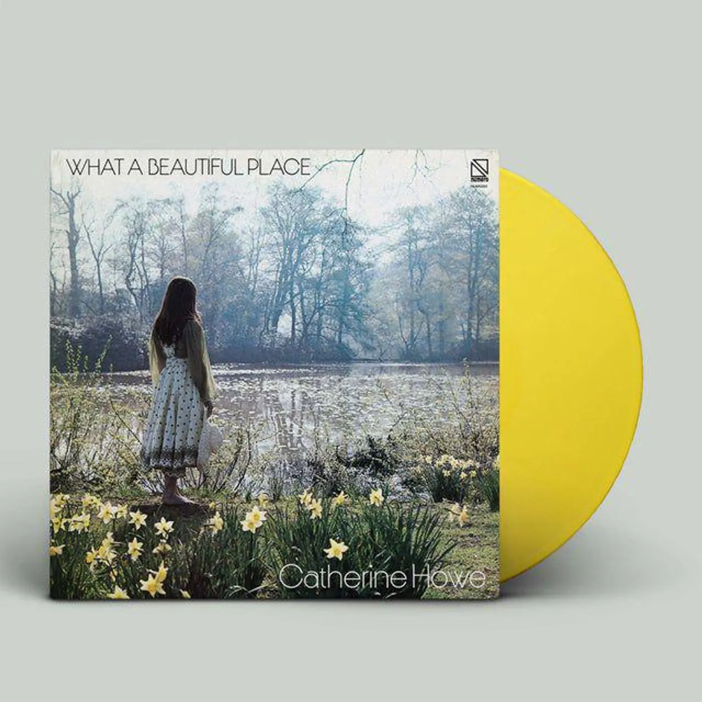 Catherine Howe WHAT A BEAUTIFUL PLACE (YELLOW VINYL) Vinyl Record