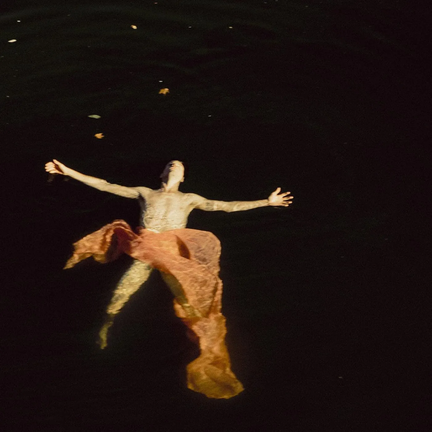 TR/ST Destroyer - 1 Vinyl Record