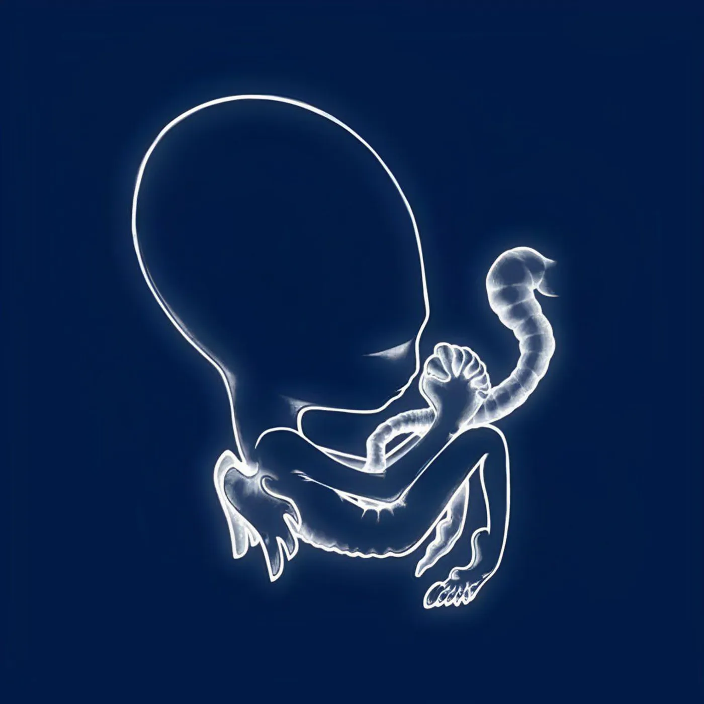 Sigur Rós Agaetis Byrjun (2LP) Vinyl Record
