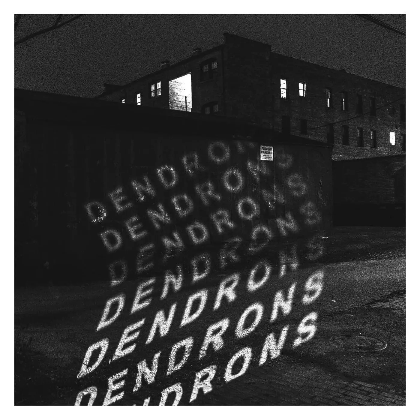 Dendrons S/T (Red & Black Opaque Galaxy) Vinyl Record
