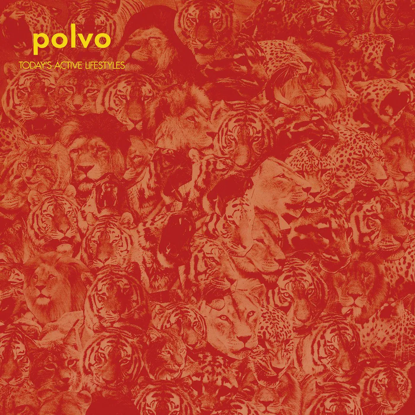 Polvo Today's Active Lifestyles Vinyl Record