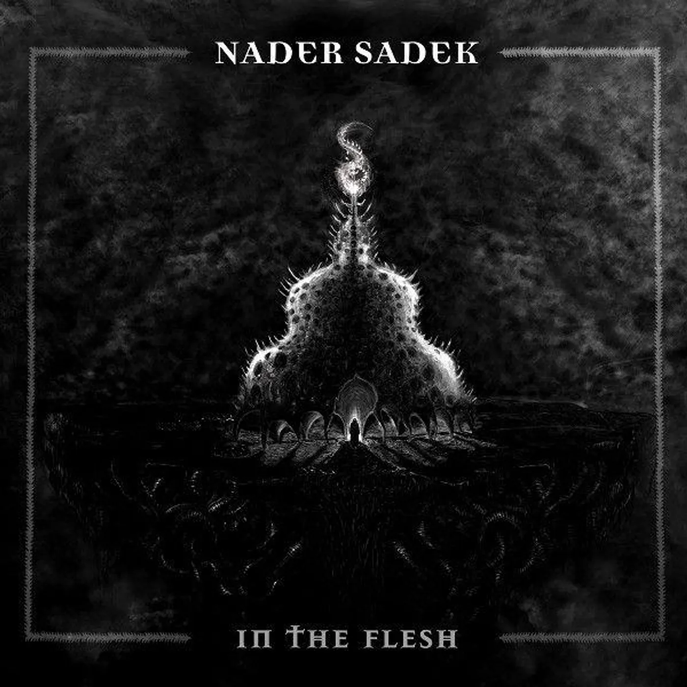 Nader Sadek IN THE FLESH (CLEAR VINYL) Vinyl Record