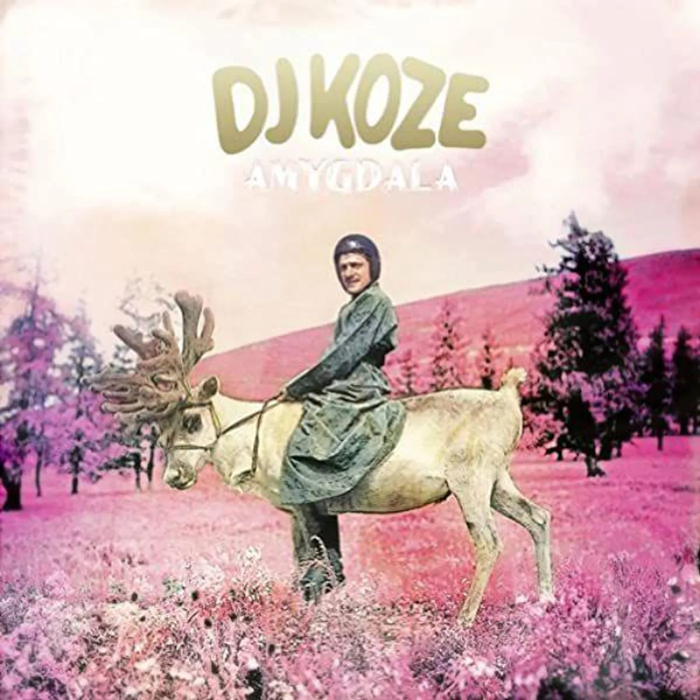 DJ Koze AMYGDALA (2LP/SIN) Vinyl Record